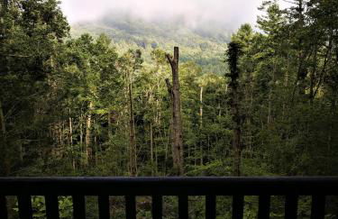 Smokies Overlook Lodge - Foto 22