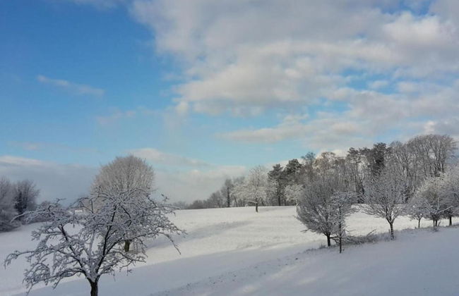 Ferienwohnung in Herbolzheim - Foto 24
