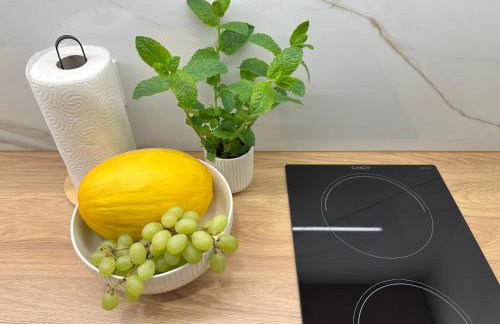 Apartamenty OFF PIOTRKOWSKA w Roosevelta Residence, Klimatyzacja, Wejście na KOD, WiFi, FV - Foto 43