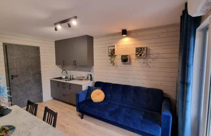 Mazurska Zatoka Resort & Spa - Apartamenty nad jeziorem z prywatną plażą i podgrzewanym basenem zewnętrznym, Mazury w rytmie SLOW - Foto 29