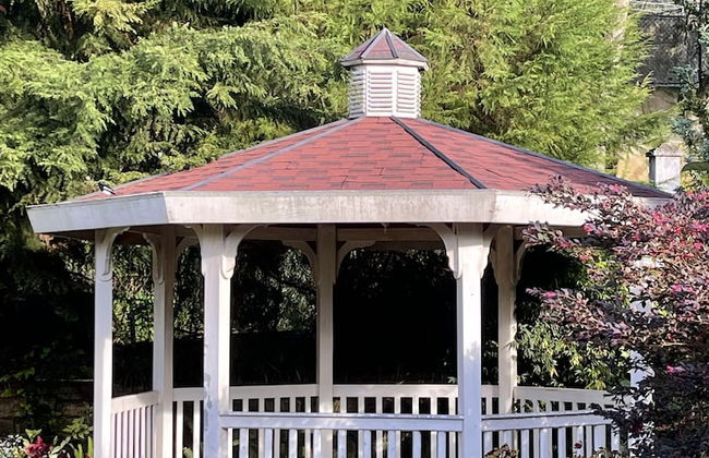 The Blossoms - Photo 35