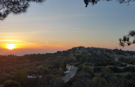 Avgonima All Seasons Hotel - Photo 39