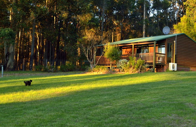 Diamond Forest Farm Stay - Foto 37