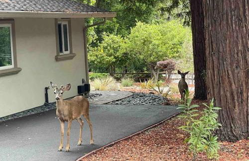 Cozy Home in Saratoga - Foto 11