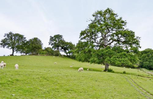 Honeysuckle Cottage - 29938 - Photo 10