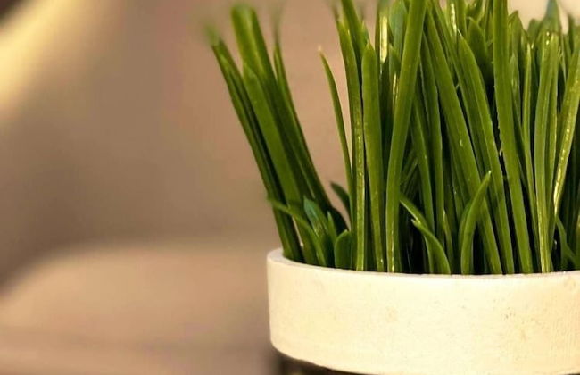 D & Sons Apartments - Photo 49