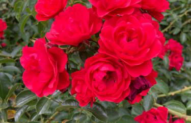 Chez Marie et Fabrice - Foto 6