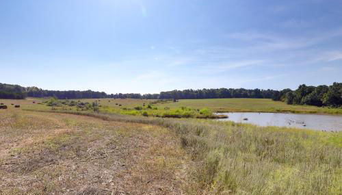 Spacious Franklin County Retreat on 80 Acres! - Foto 2