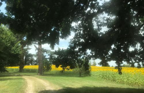 La Chartreuse et son Orangerie - Foto 68