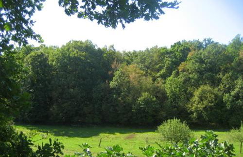 Agriturismo Radovic - Foto 36