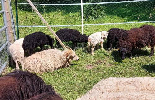 Großes Meer - Foto 12