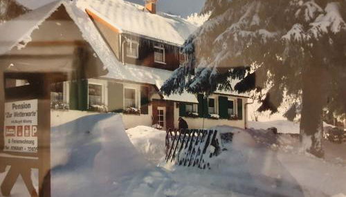 Ferienhaus am Rennsteig-Pension zur Wetterwarte - Foto 3