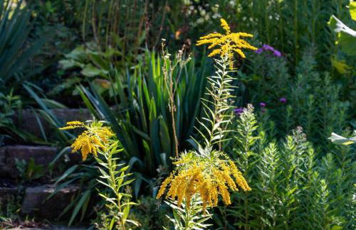 Chalets in der Forststraße - Photo 40