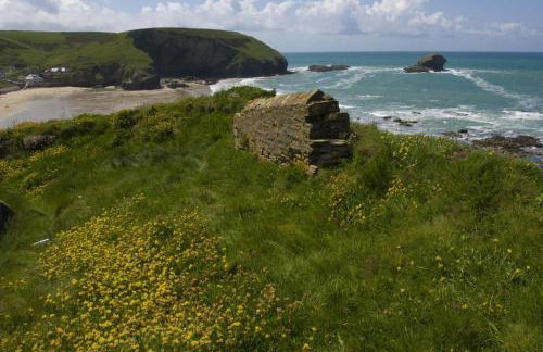 Hot Tub Bungalow - Close to Portreath - Free WiFi - Free Parking - Pet Friendly - Foto 35