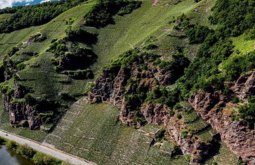 Kleines Ferienhaus Nicole - Foto 17