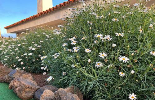 Casa Rural Margarita, relax, vistas, jardín - Foto 63