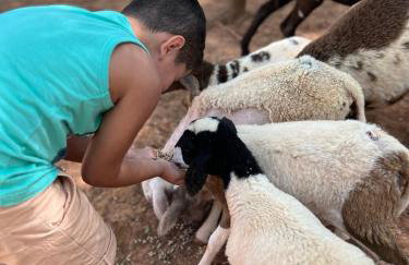 Hotel Fazenda Minas Real - Photo 17