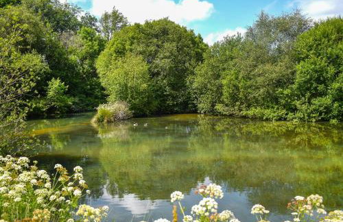 Oak Park One - Uk50062 - Foto 15