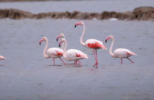 CENTER APARTMENT Mazagón - Photo 30