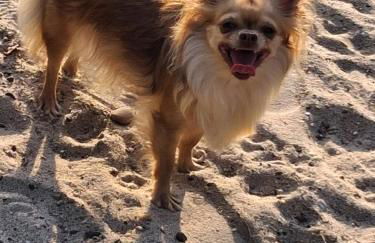 Natur Oase 2 - Foto 9