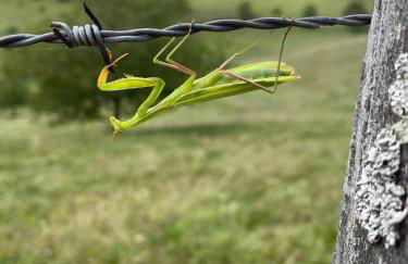 Weingut & Straußwirtschaft Vogel - Foto 69