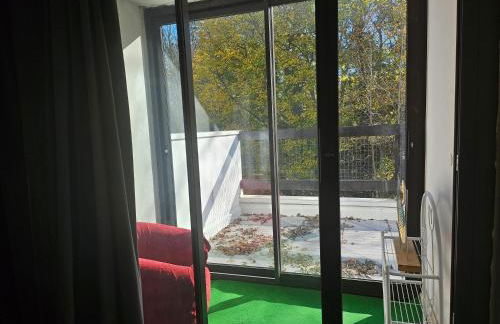 Les Marmottes de Murol - Foto 20