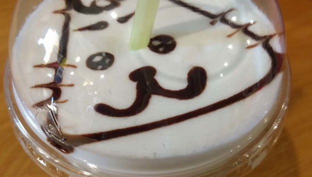 Disfrutaréis de una barra de bebidas ilimitadas