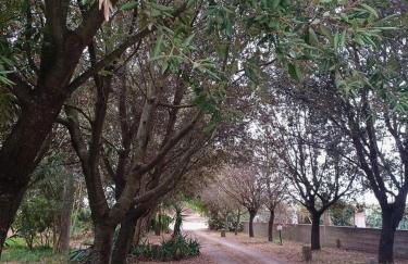 Sa Stella E Monti - Foto 9