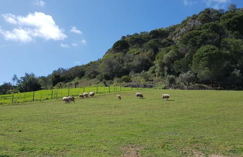 Casa da Ti Bia - Foto 23