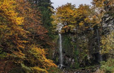 Perce-neige - Foto 23