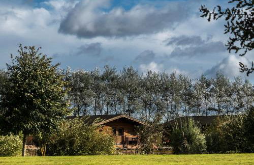 Lake View Lodges - 25074 - Foto 13