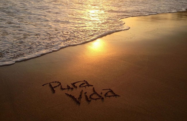 Impressively designed and decorated 3rd-floor space overlooking pool in Coco - Photo 53