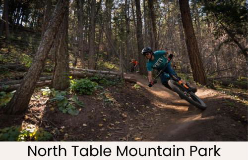 The Modern Muse Art Home - Foto 35