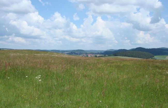 Home With Garden, Hallenberg - Foto 43