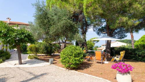 Haus mit Garten über der Bucht von Cannes - Foto 5, Garden