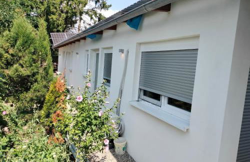 Mietangebote Info - Trebur - Foto 1