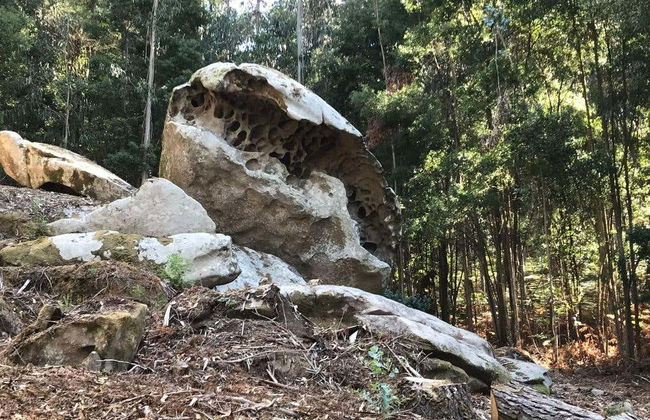 Boat to Tambo Island - Photo 4