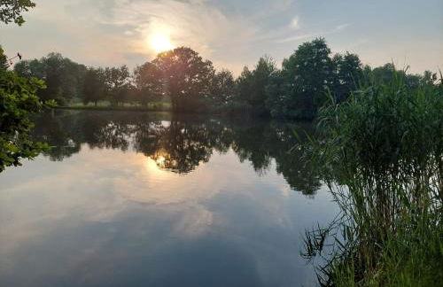 Ferienwohnung Am Bürgerteich - Foto 43