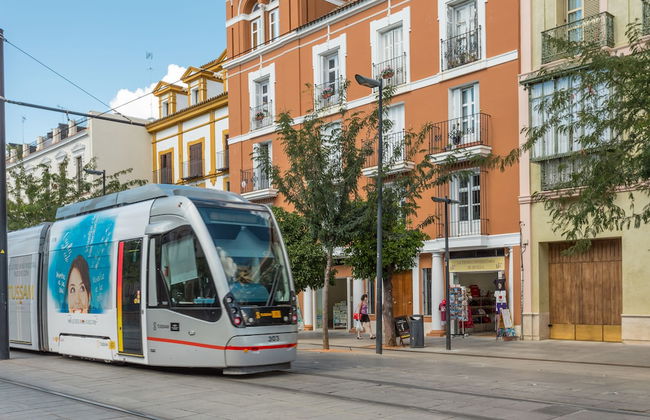 Puerta de San Fernando - Foto 48