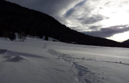 Casa Al Rin - Foto 46