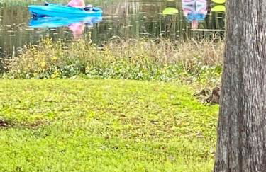 Professor Rousseau's Manatee Bay - Foto 19