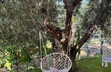 Le Coccole Del Trasimeno - Foto 43