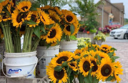 North Fork House for Rent - Photo 79