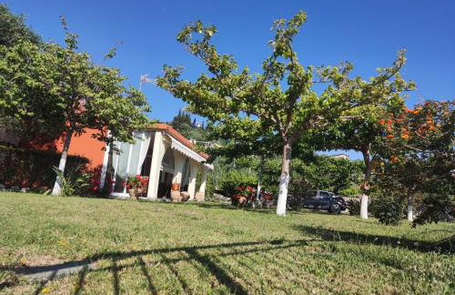 Sun N Sand - Foto 44