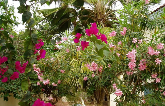 Nimohs' Holiday Home Mccarthy Hill Accra-ghana With Acs - Foto 31