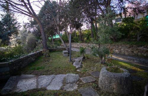 La Higuerilla - Photo 42