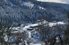 Piazzetta Del Forno - Monolocale - Foto 2