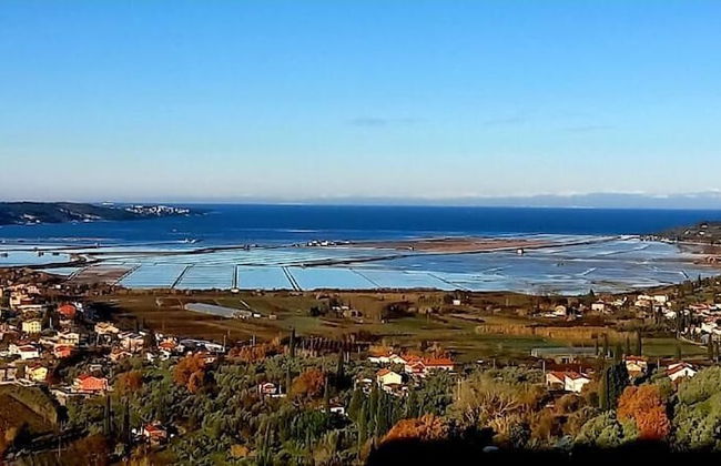 Apartments Milok - Foto 52