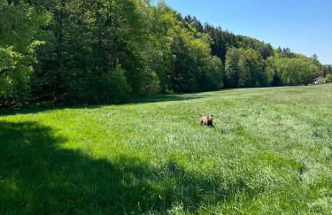 Exklusives Appartement mit Flair - Foto 29