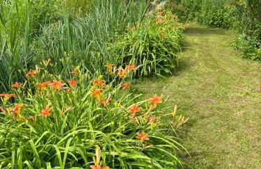 Gîte clair matin Classé 3 étoiles - Foto 35